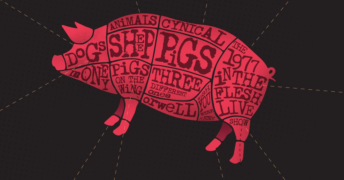 Pink Floyd Project — 50 years of Animals & In The Flesh 1977